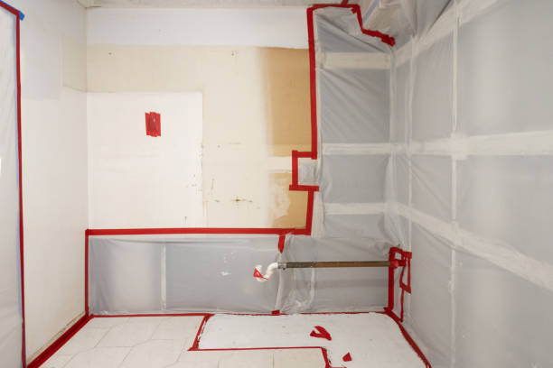 Oak Grove Heights, AR Mold Inspection, Removal & Remediation Company